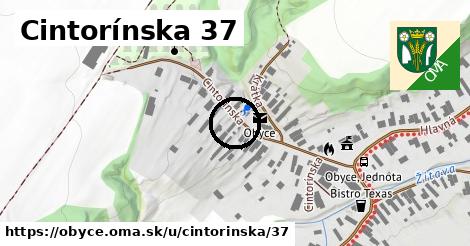 Cintorínska 37, Obyce