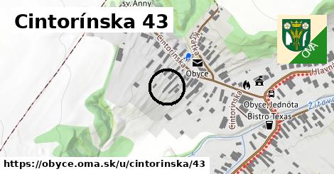 Cintorínska 43, Obyce