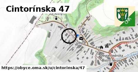 Cintorínska 47, Obyce