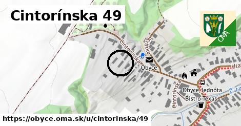 Cintorínska 49, Obyce