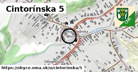 Cintorínska 5, Obyce