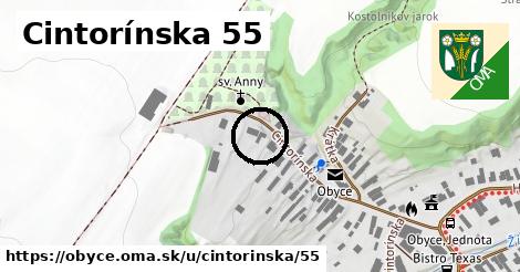 Cintorínska 55, Obyce