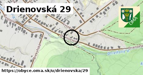 Drienovská 29, Obyce