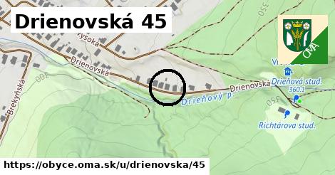 Drienovská 45, Obyce