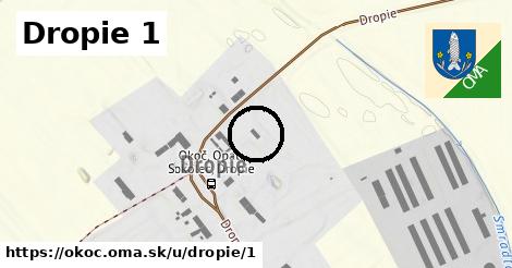 Dropie 1, Okoč