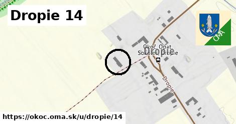 Dropie 14, Okoč