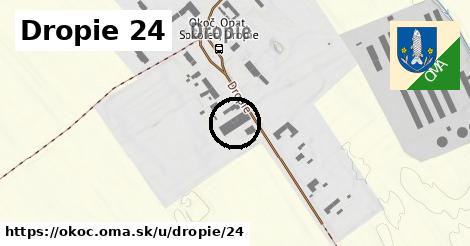 Dropie 24, Okoč