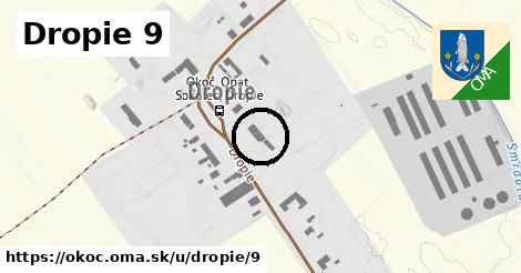 Dropie 9, Okoč