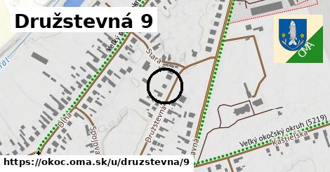Družstevná 9, Okoč