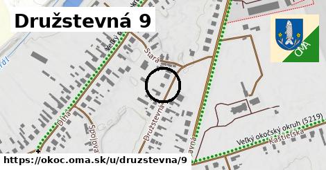 Družstevná 9, Okoč