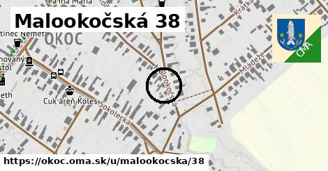 Malookočská 38, Okoč