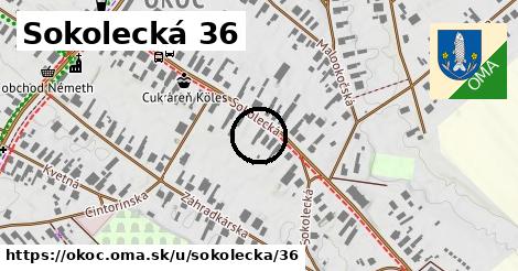 Sokolecká 36, Okoč