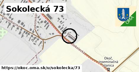 Sokolecká 73, Okoč