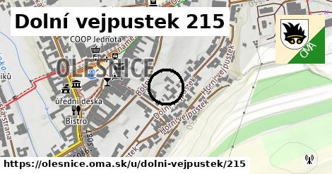 Dolní vejpustek 215, Olešnice