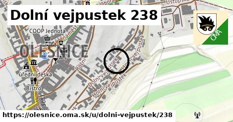 Dolní vejpustek 238, Olešnice