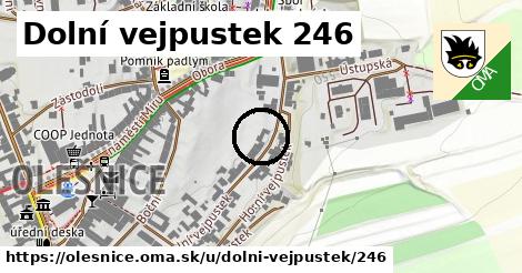 Dolní vejpustek 246, Olešnice