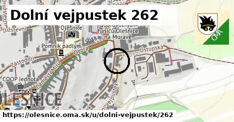 Dolní vejpustek 262, Olešnice