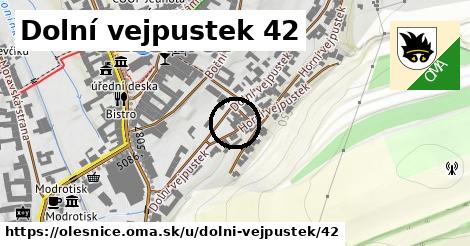 Dolní vejpustek 42, Olešnice