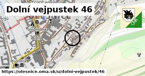 Dolní vejpustek 46, Olešnice