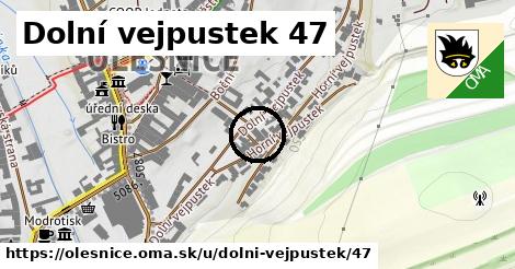 Dolní vejpustek 47, Olešnice