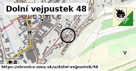 Dolní vejpustek 48, Olešnice