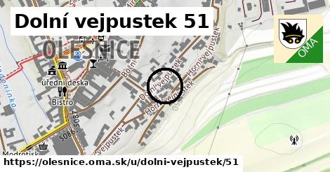 Dolní vejpustek 51, Olešnice