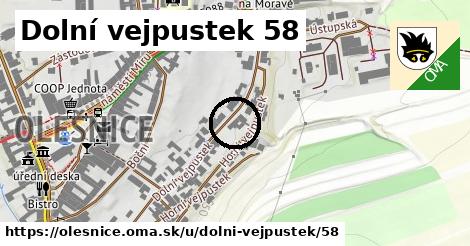 Dolní vejpustek 58, Olešnice