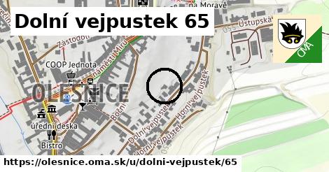 Dolní vejpustek 65, Olešnice