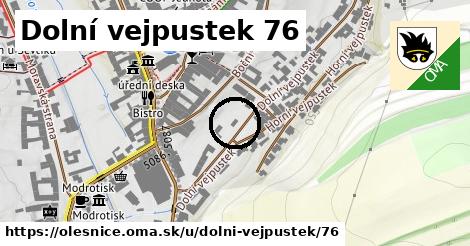 Dolní vejpustek 76, Olešnice