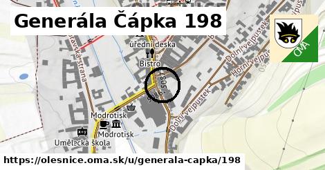 Generála Čápka 198, Olešnice