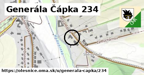 Generála Čápka 234, Olešnice