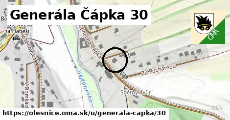 Generála Čápka 30, Olešnice