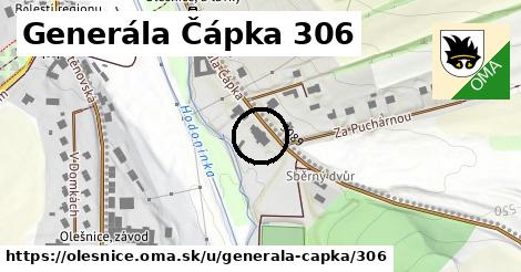 Generála Čápka 306, Olešnice