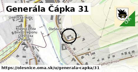 Generála Čápka 31, Olešnice