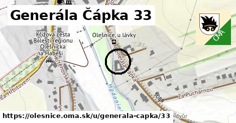 Generála Čápka 33, Olešnice