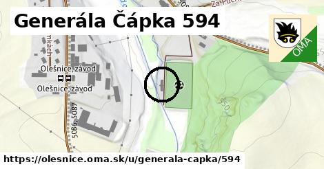 Generála Čápka 594, Olešnice