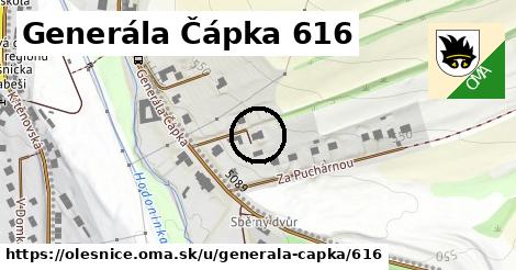 Generála Čápka 616, Olešnice