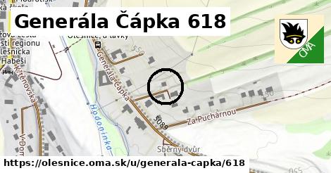 Generála Čápka 618, Olešnice