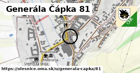 Generála Čápka 81, Olešnice