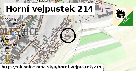 Horní vejpustek 214, Olešnice