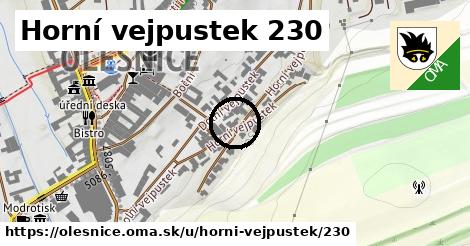 Horní vejpustek 230, Olešnice