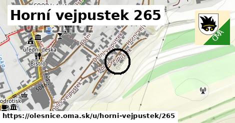 Horní vejpustek 265, Olešnice