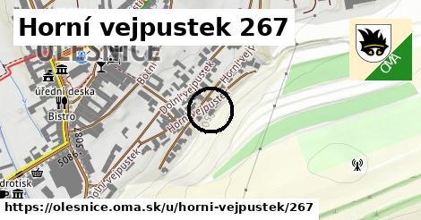 Horní vejpustek 267, Olešnice