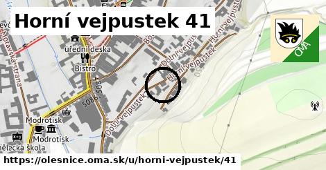 Horní vejpustek 41, Olešnice