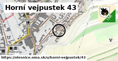 Horní vejpustek 43, Olešnice