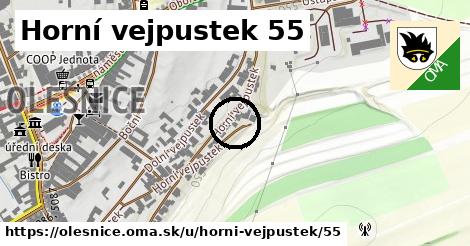 Horní vejpustek 55, Olešnice