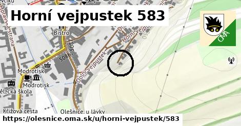 Horní vejpustek 583, Olešnice