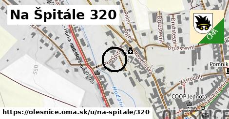 Na Špitále 320, Olešnice