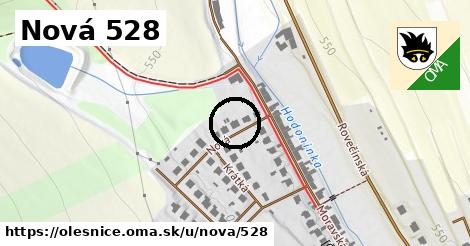 Nová 528, Olešnice