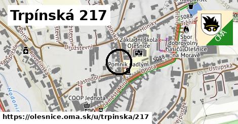 Trpínská 217, Olešnice